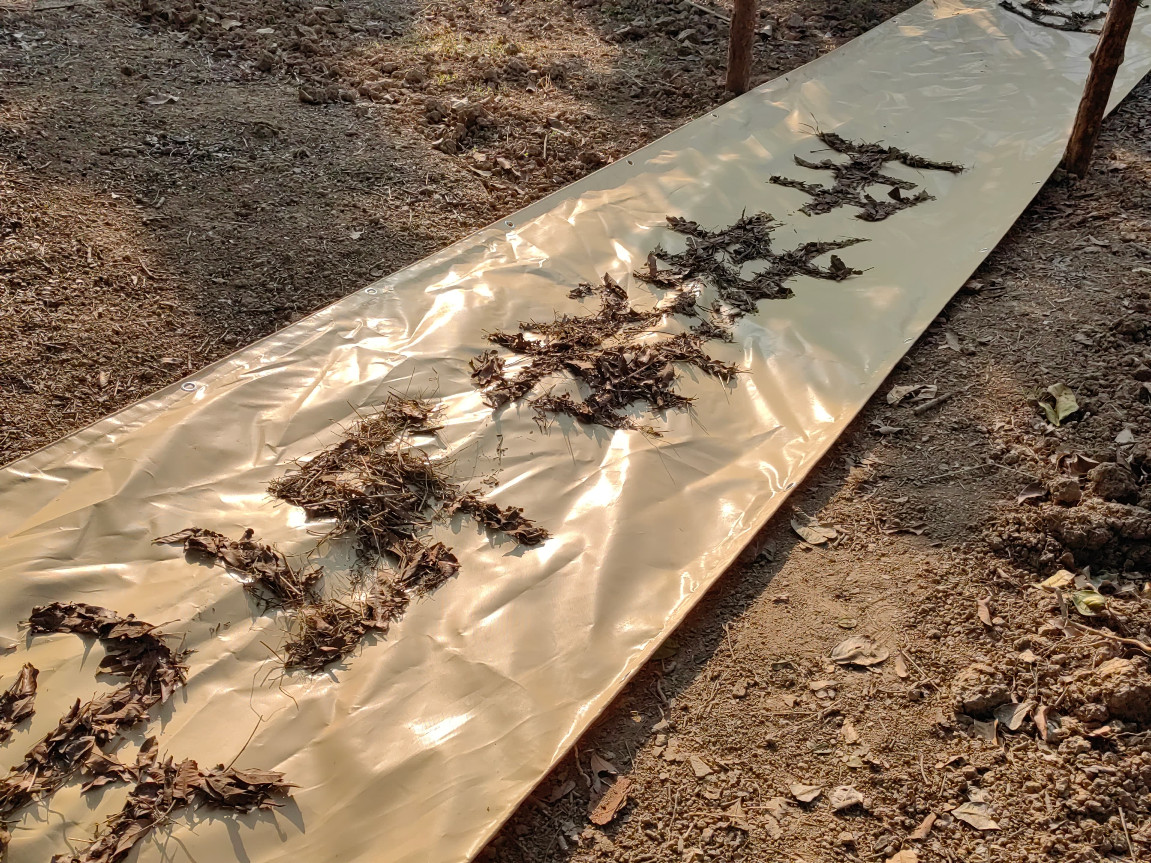 A Poem Sewn into Nature A Poem Sewn into Nature